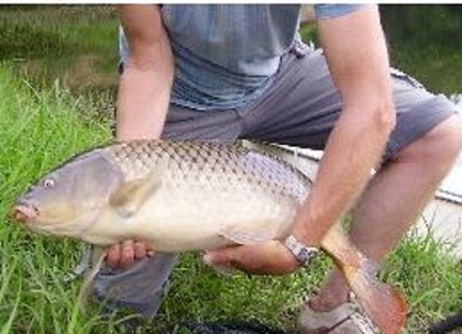 Pêche lac de pannecière